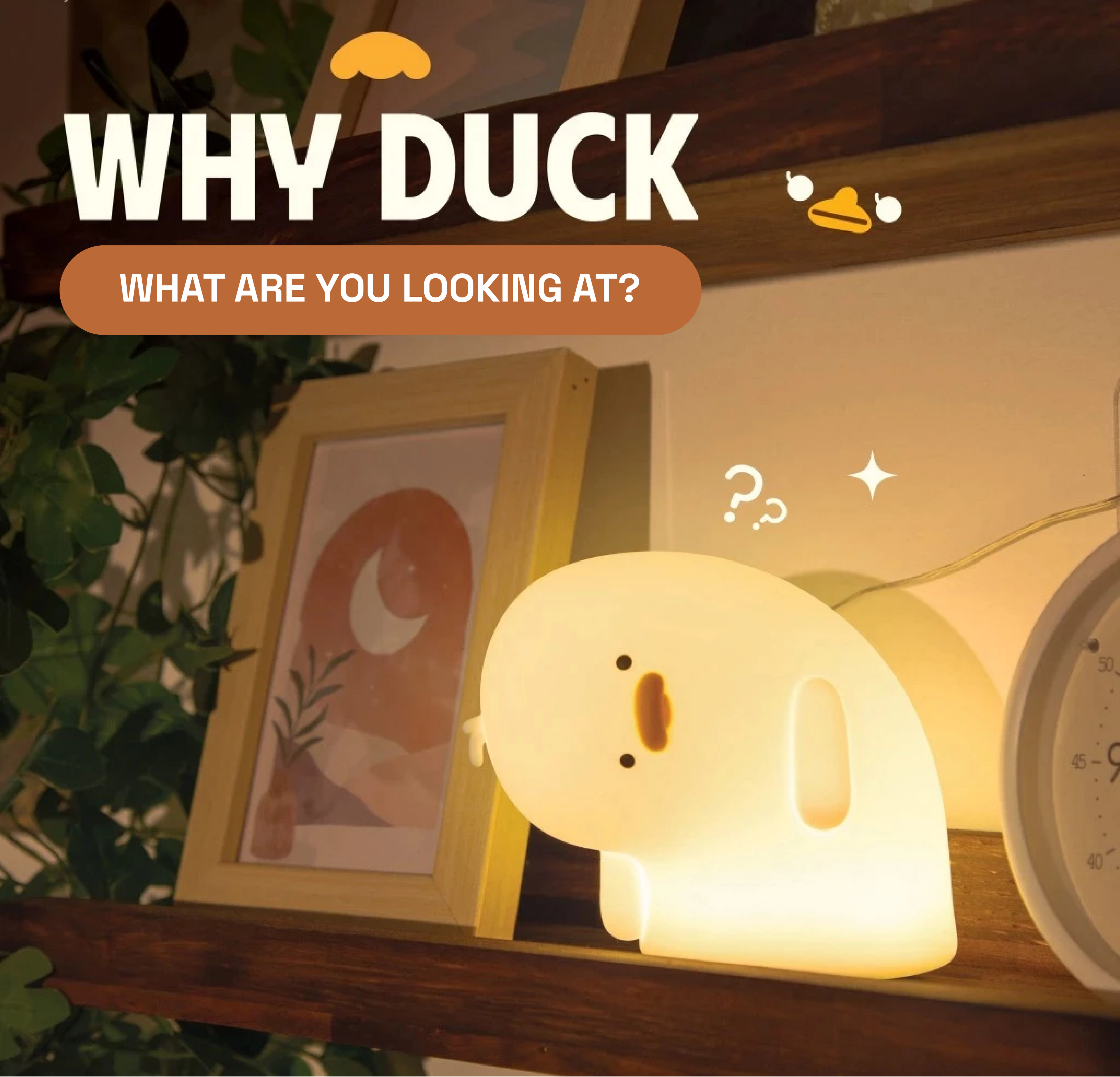 Why Duck Lamp