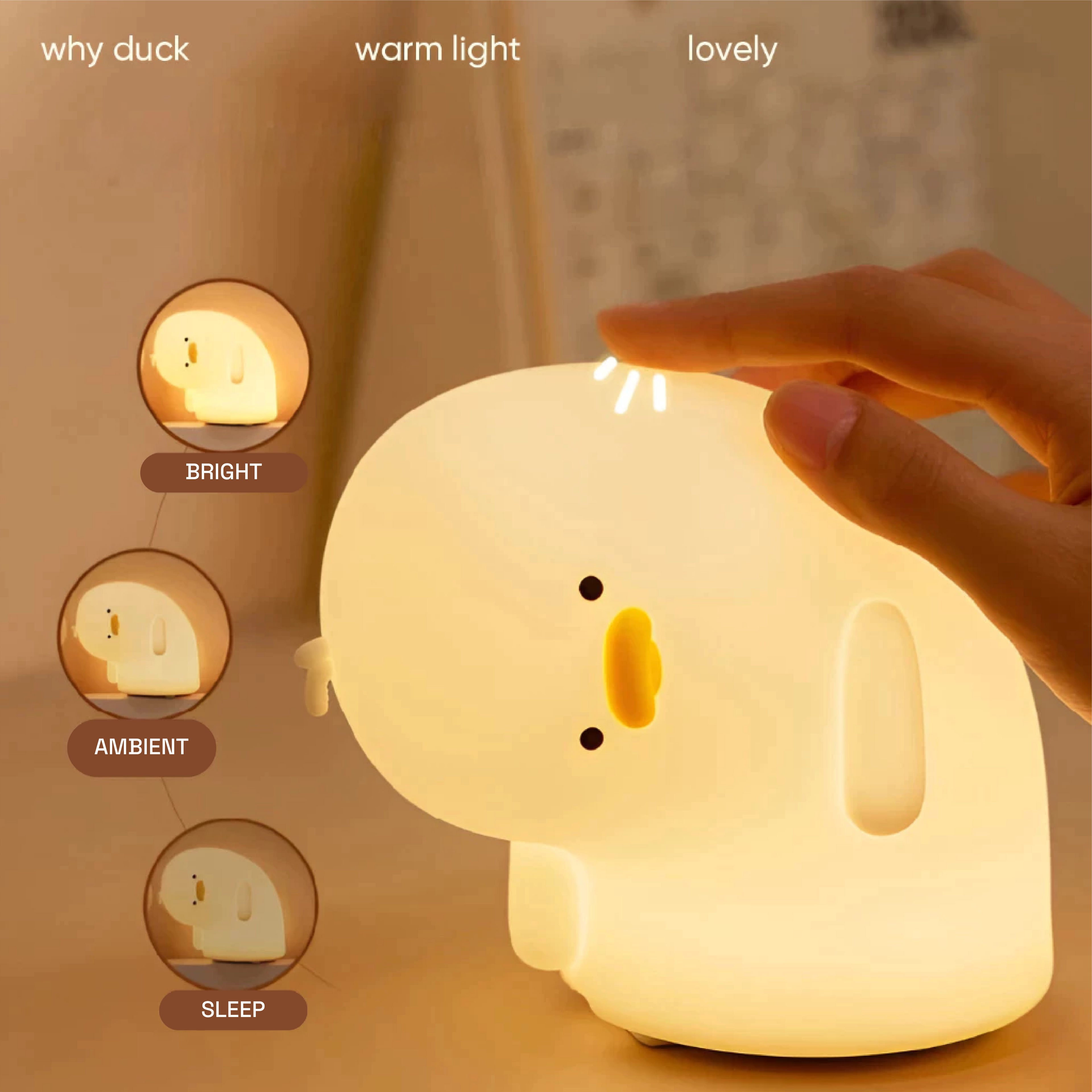 Why Duck Lamp