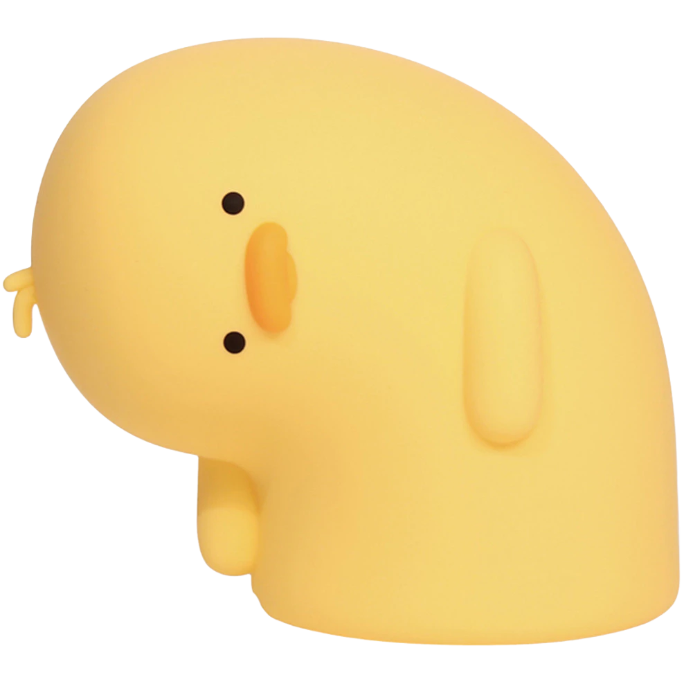 Why Duck Lamp