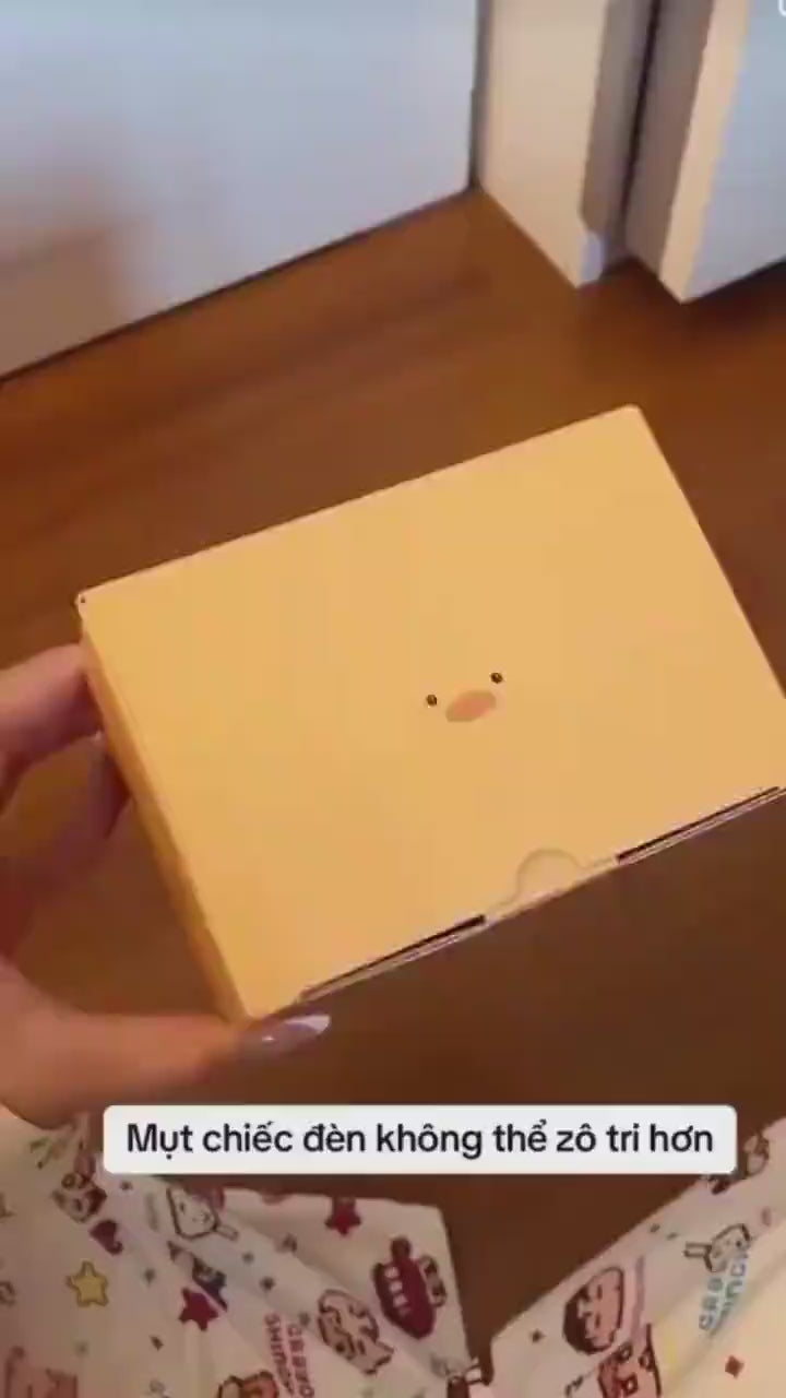Why Duck Lamp